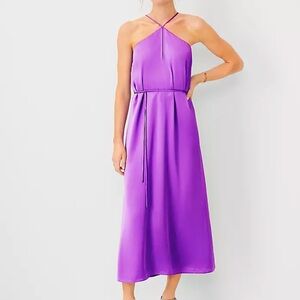 NWT Ann Taylor Dress